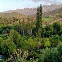 زمین باغی ییلاقی