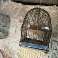 سهره خاکی عربده کش