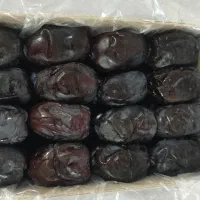 توزیع خرمای مضافتی دو ردیف لوکس و سه ردیف|عمدهفروشی|نظرآباد, نجم آباد|دیوار