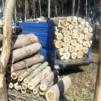 انواع چوب ودرخت برش