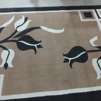 کلیم  زیبا وسالم در حد نو|گلیم، جاجیم، گبه|کوهدشت, |دیوار