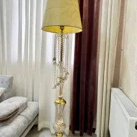 آباژور کنار سالنی