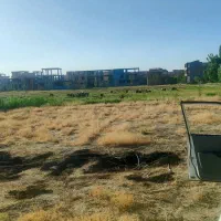 زمین بادکی در گلستان خیابان شبنم