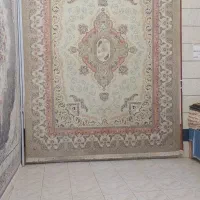 قالی ۱۲ متری یک جفت|فرش|شیروان (خراسان), |دیوار