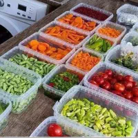 ظروف فریزری و بسته بندی