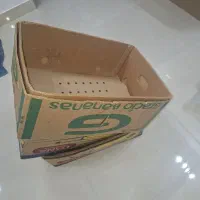 کارتون موز