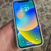x 256