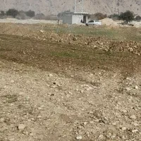 فروش زمین کشاورزی ابی|فروش زمین و ملک کلنگی|دوگنبدان, |دیوار
