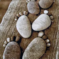 فرش اسپرت ۴متری درحد نونونو