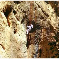 عسل کوه های خرام آباد