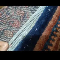 فرش دستباف|فرش|شاهدشهر, |دیوار