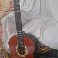 گیتار دیاموند