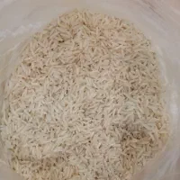 برنج راتون هاشمی (شاه برنج)