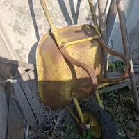 فرغون