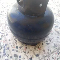 پیرنیک سالم
