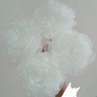 گل ربانی سفید