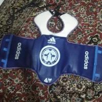 ضربه گیرهوگوتکواندو