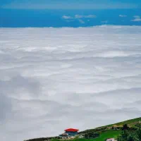 رهن واحد فاز1