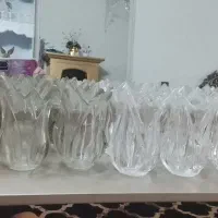 تعدادی  لاله لوستر درحدنو