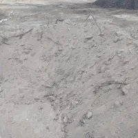 خرید و فروش کود حیوانی|خدمات باغبانی و درختکاری|نظرآباد, نجم آباد|دیوار