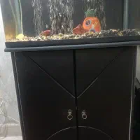 آکواریوم شرکتی