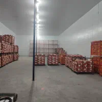 راه اندازی سردخانه به صورت کامل