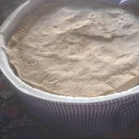 جانونی