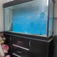 آکواریوم فروشی