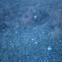 زمین به متراژ ۱۰۰۰ متر مناسب برای ساخت ویلا