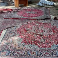 ۸تافرش و۱۰۰مترگونی|فرش|همدان, |دیوار