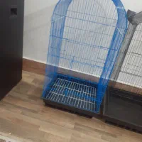 قفس|لوازم جانبی حیوانات|گرگان, |دیوار