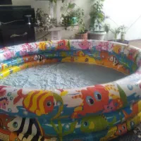 استخر|اسباب‌‌بازی|فولادشهر, B5|دیوار