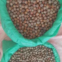 فندوق طارم|خوردنی و آشامیدنی|زنجان, |دیوار