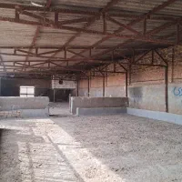 دامداری در نصراباد|فروش خانه و ویلا|نصر آباد, |دیوار