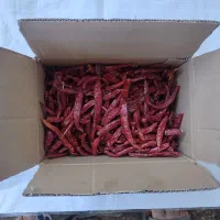 فلفل دمگرفته شیرازی