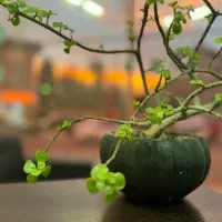 نیروی خانوم جهت رسیدگی به امور منزل و کودک