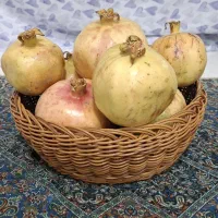 انواع سبد دستباف|صنایع دستی و سایر لوازم تزئینی|اردکان, |دیوار