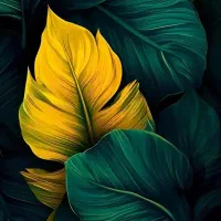 نظافت راه پله و پارکینگ ساختمان