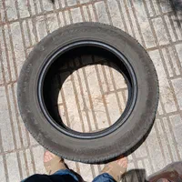 لاستیک سانتافه|قطعات یدکی و لوازم جانبی|تهران, درختی|دیوار