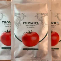 بذر گوجه فرنگی هیبرید پرباروصادراتی مشابه رقم ۸۳۲۰