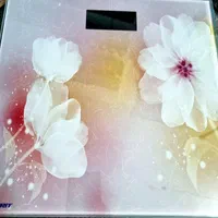 ترازوی وزن کشی  ضمانت 1ساله|تجهیزات ورزشی|قم, آزادگان|دیوار