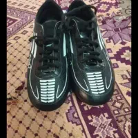 کفش چمن استوک دار