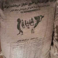 خوراک دام دامی