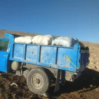 کود حیوانی