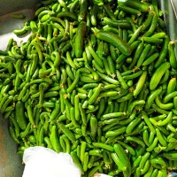 خیار سبز محلی((خیار شوری))