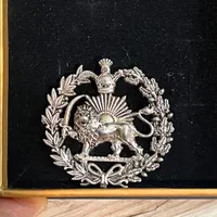 پلاک گردنی شیرخورشید نقره