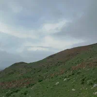 دامداری فروشی روستای چلو
