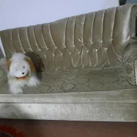 فروش مبل راحتی|مبلمان خانگی و میز عسلی|ارومیه, |دیوار