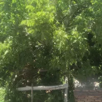 منزل مسکونی شهر راین