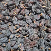 مویز سیاه|خوردنی و آشامیدنی|شیراز, شهرک فرهنگیان|دیوار